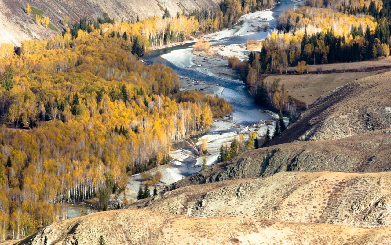 新疆,梦想起航之地,学习照亮自信之路